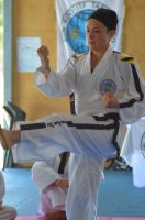 GM_Hwang_Seminar_2016_057