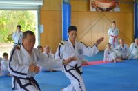 GM_Hwang_Seminar_2016_069