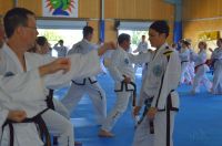 GM_Hwang_Seminar_2016_072