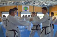 GM_Hwang_Seminar_2016_087