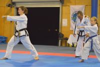 GM_Hwang_Seminar_2016_110