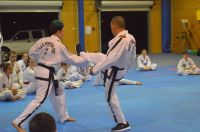 GM_Hwang_Seminar_2016_128