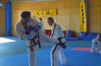 GM_Hwang_Seminar_2016_176