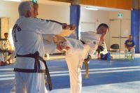 GM_Hwang_Seminar_2016_197