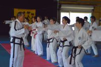 GM_Hwang_Seminar_2016_205