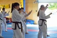 GM_Hwang_Seminar_2016_222