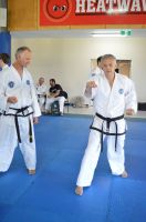 GM_Hwang_Seminar_2016_235