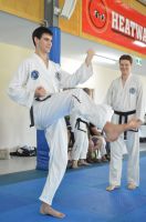 GM_Hwang_Seminar_2016_244