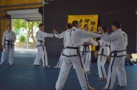 GM_Hwang_Seminar_2016_246