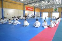 GM_Hwang_Seminar_2016_250